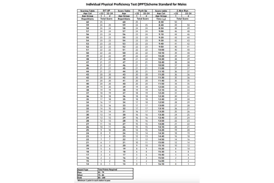 IPPT grading system